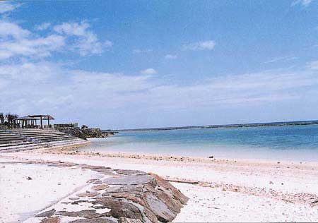 �^���ԃr�[�`