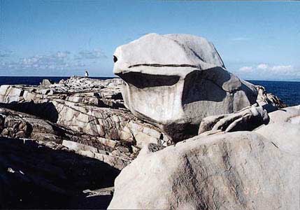 ���V�����̎ʐ^