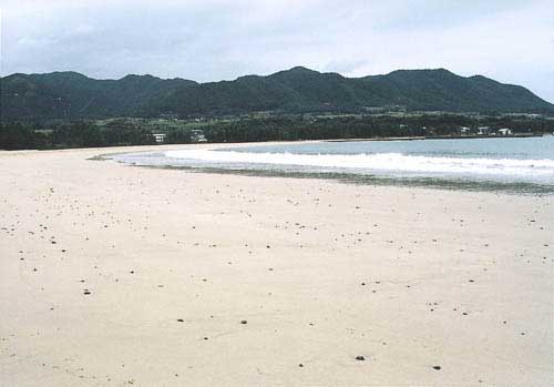 �R�z���C�g�r�[�`